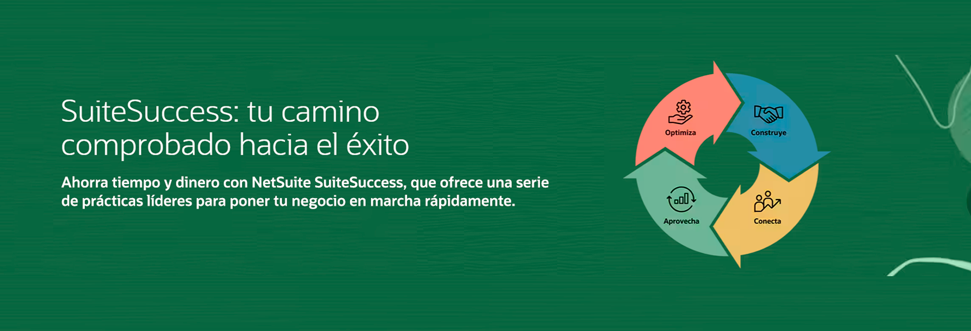 https://www.netsuite.com.mx/